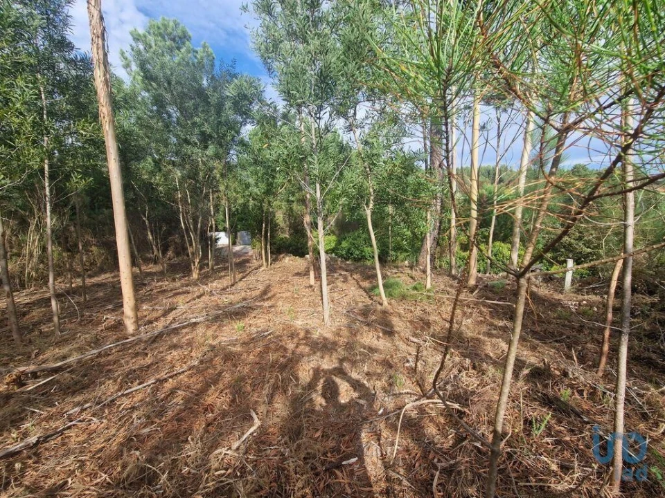 Terreno para Venda em Nogueira, Meixedo e Vilar de Murteda Foto 10
