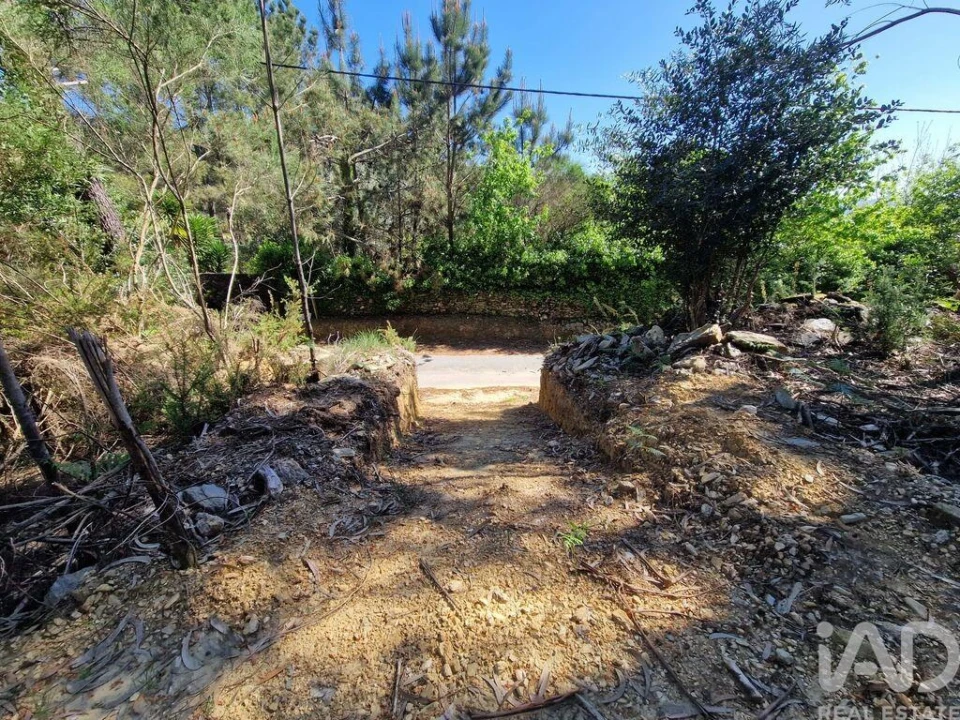 Terreno para Venda em Nogueira, Meixedo e Vilar de Murteda Foto 1