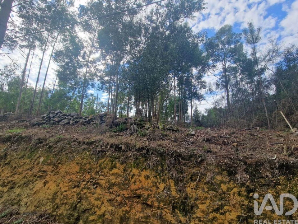 Terreno para Venda em Nogueira, Meixedo e Vilar de Murteda Foto 17