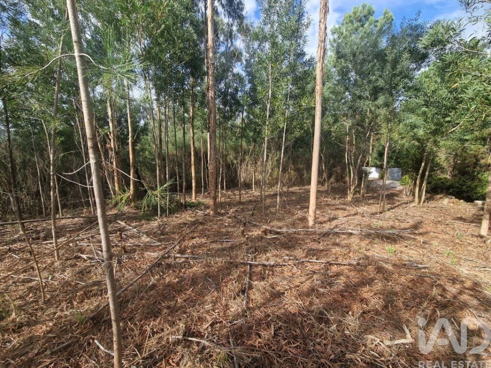 Terreno para Venda em Nogueira, Meixedo e Vilar de Murteda Foto 26