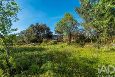 Terreno para Venda em Loule (São Clemente)