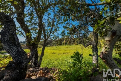 Terreno para Venda em Loule (São Clemente)