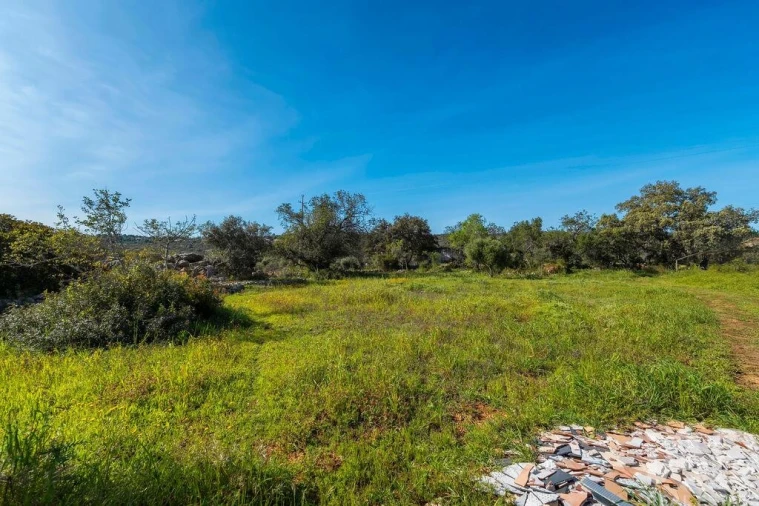 Terreno para Venda em Loule (São Clemente) Foto 16