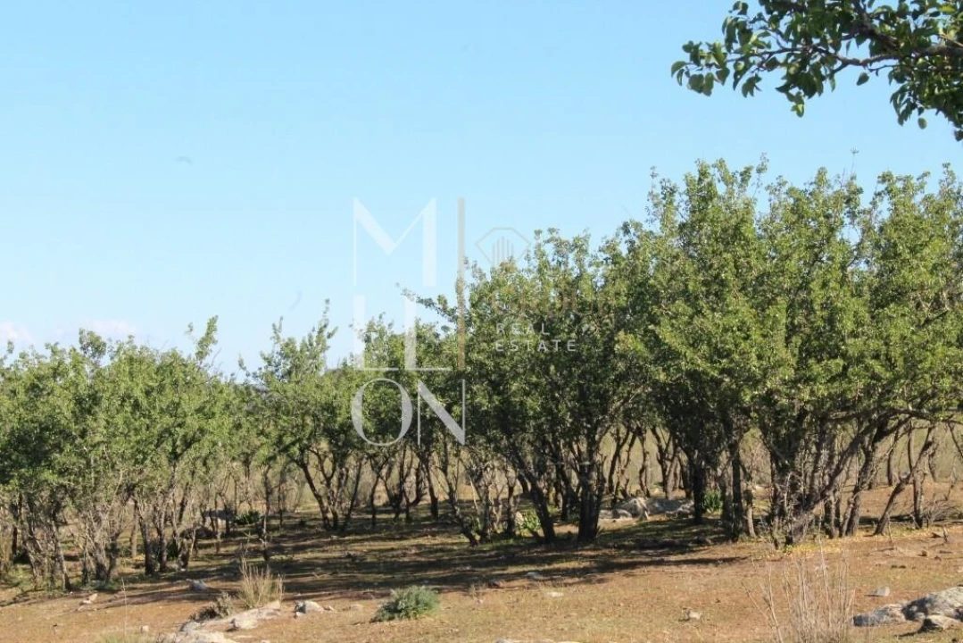 Quinta T3 para Venda em Granja Foto 8