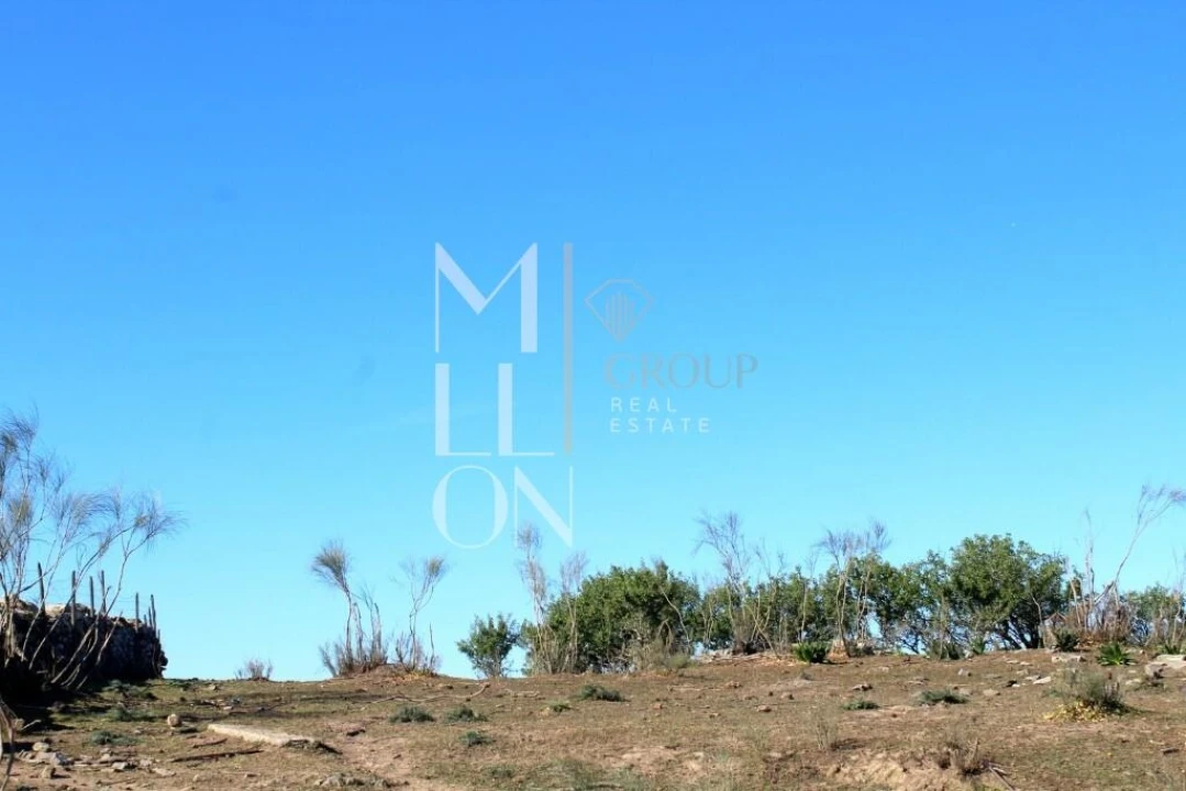 Quinta T3 para Venda em Granja Foto 3