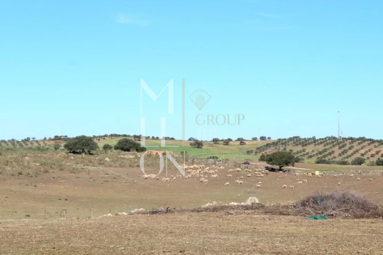 Quinta T3 para Venda em Granja