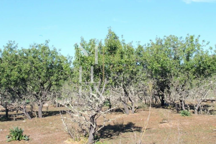 Quinta T3 para Venda em Granja Foto 6