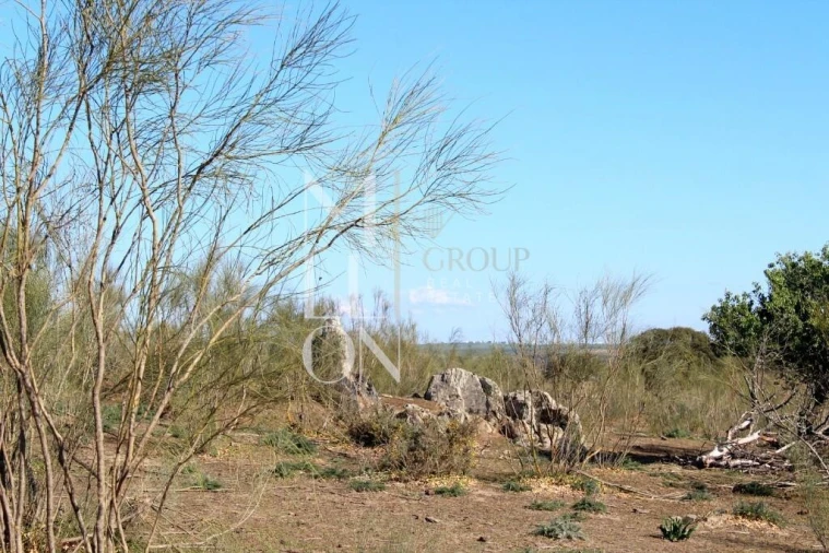 Quinta T3 para Venda em Granja Foto 13