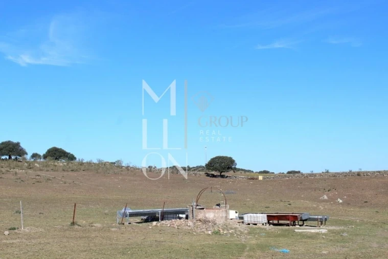 Quinta T3 para Venda em Granja Foto 18