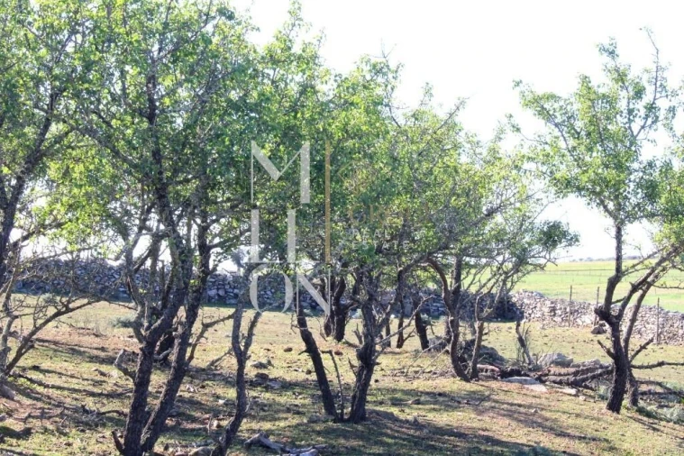 Quinta T3 para Venda em Granja Foto 9