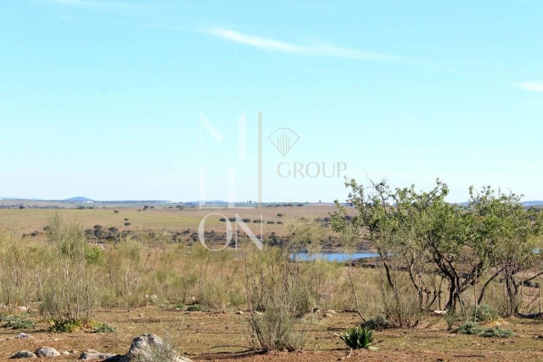 Quinta T3 para Venda em Granja Foto 10