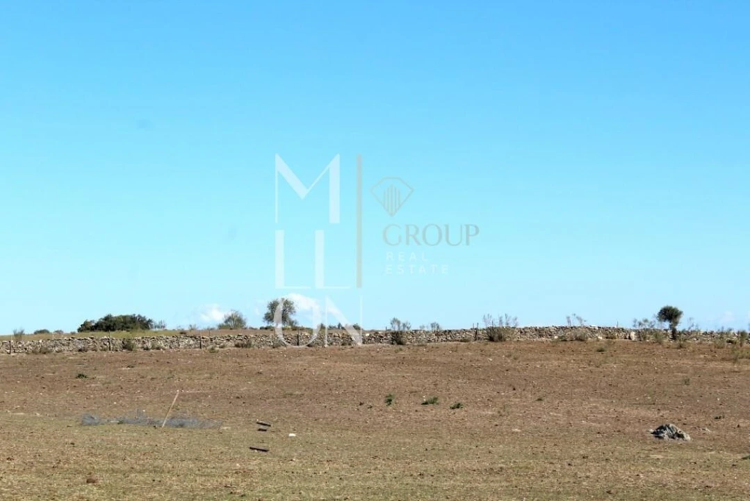 Quinta T3 para Venda em Granja Foto 14