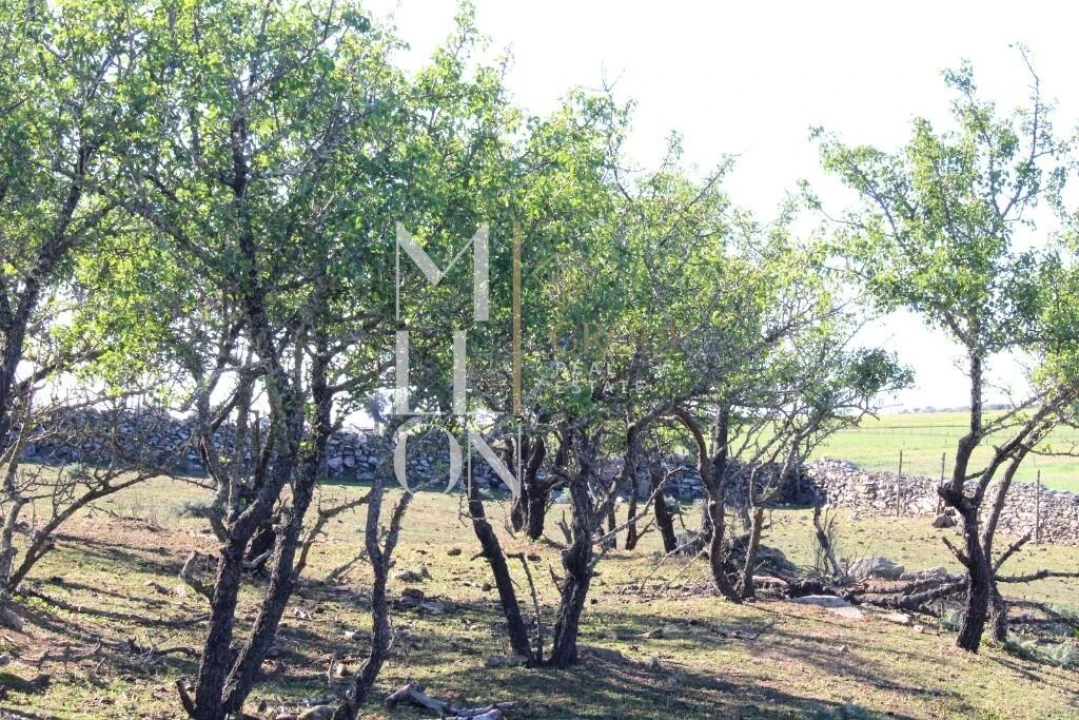 Quinta T3 para Venda em Granja Foto 9