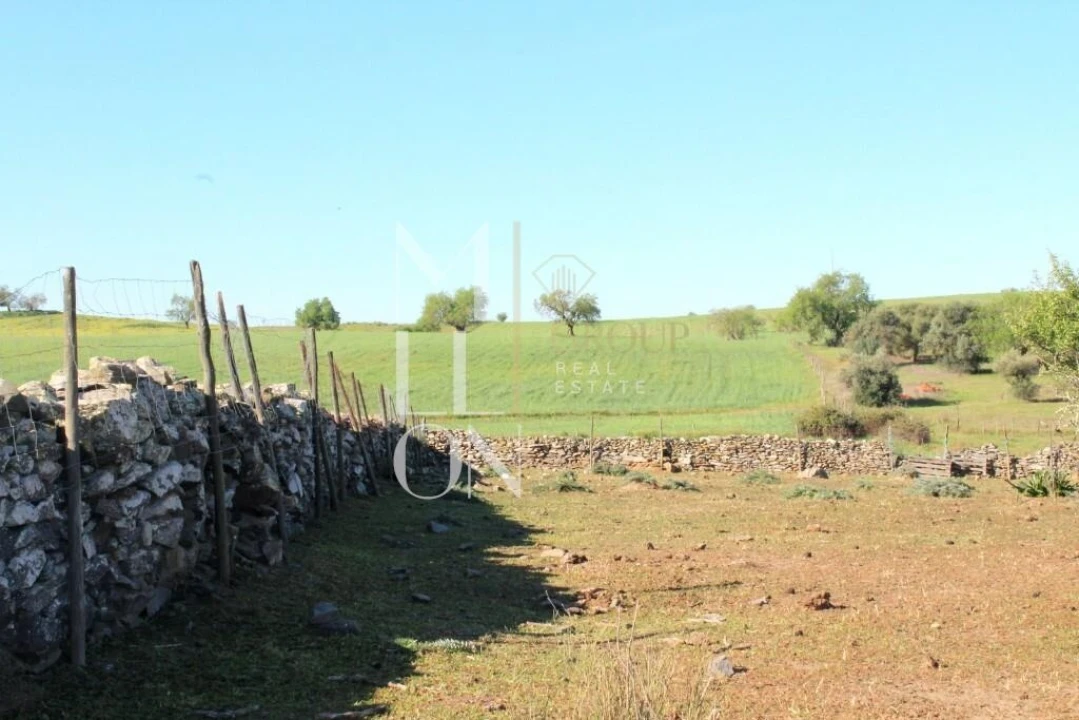 Quinta T3 para Venda em Granja Foto 5