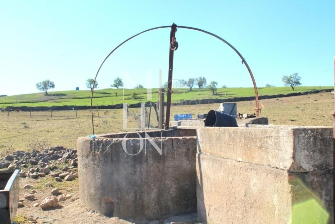 Quinta T3 para Venda em Granja Foto 15