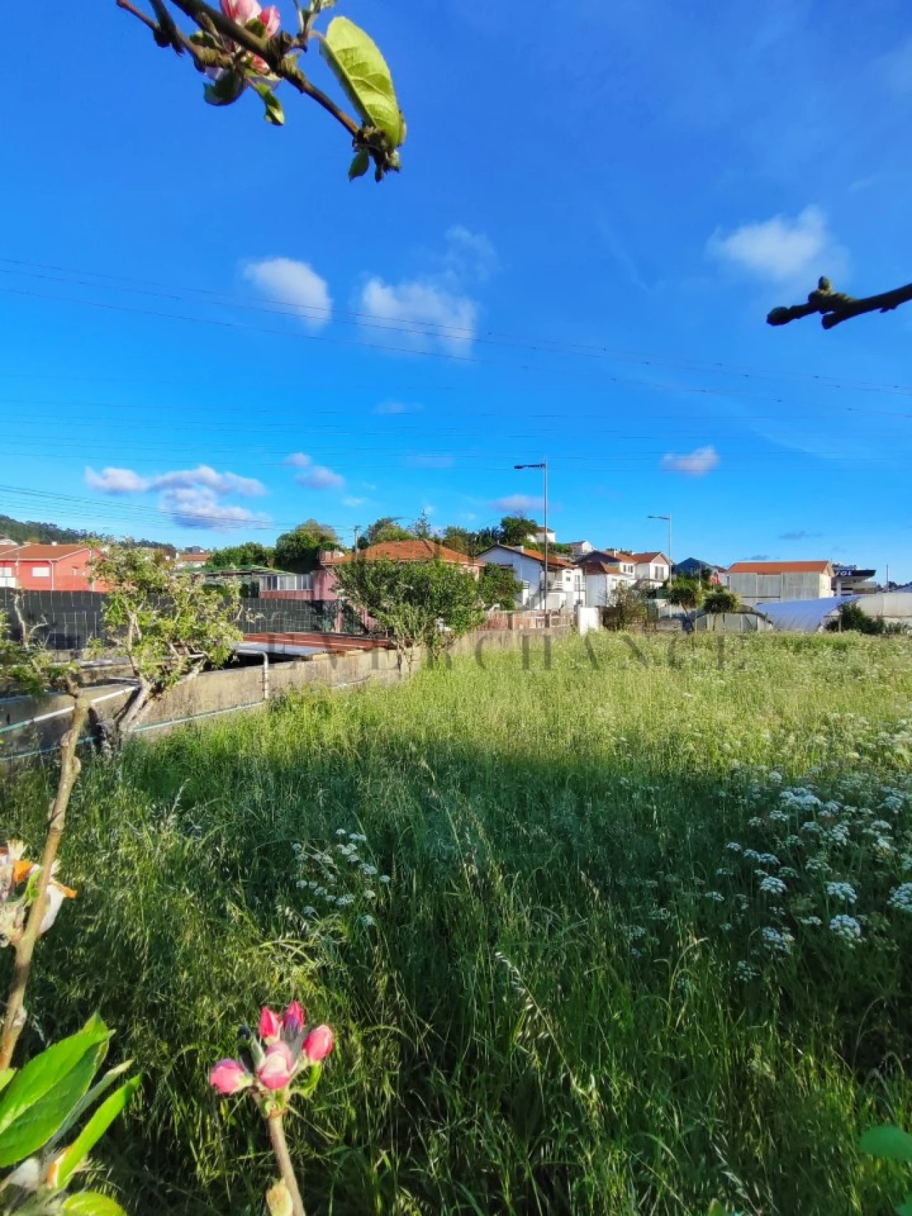 Terreno para Venda em Canelas Foto 4