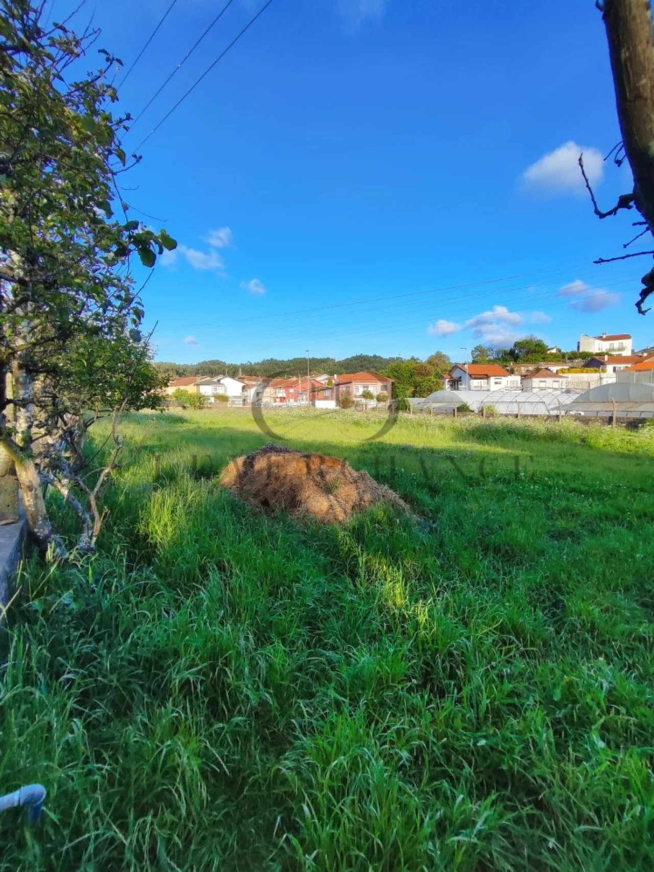 Terreno para Venda em Canelas Foto 5