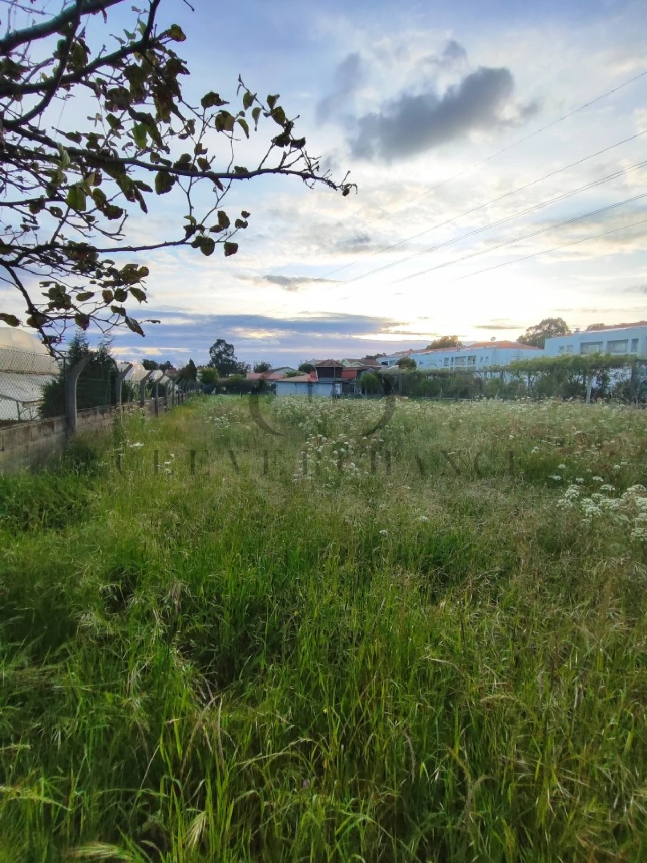 Terreno para Venda em Canelas Foto 9