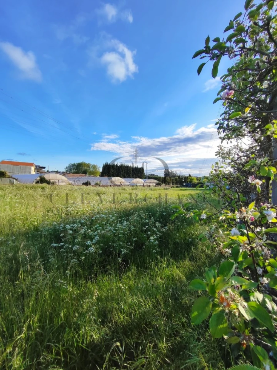 Terreno para Venda em Canelas Foto 2