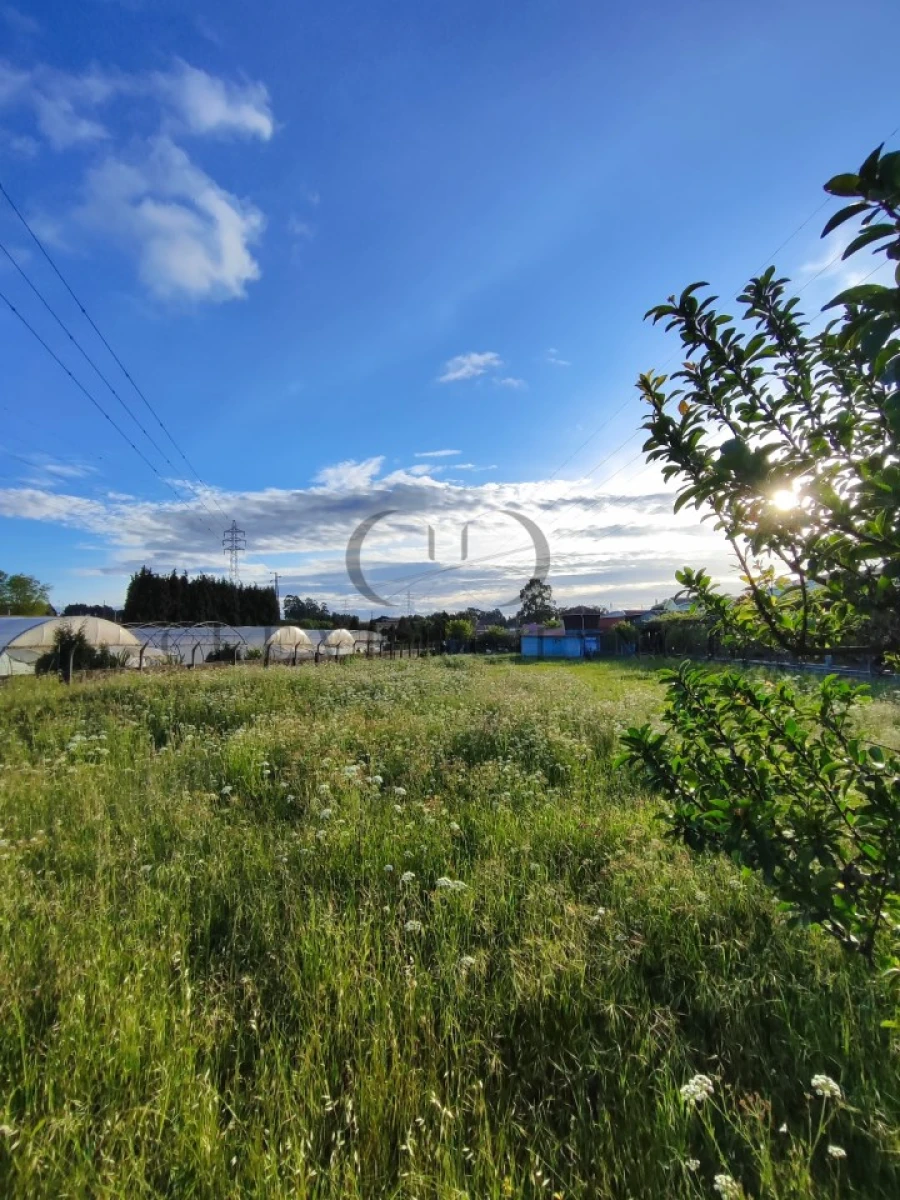 Terreno para Venda em Canelas Foto 3