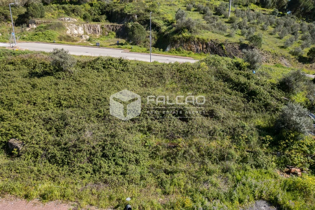 Terreno para Venda em Sé e São Lourenço Foto 32