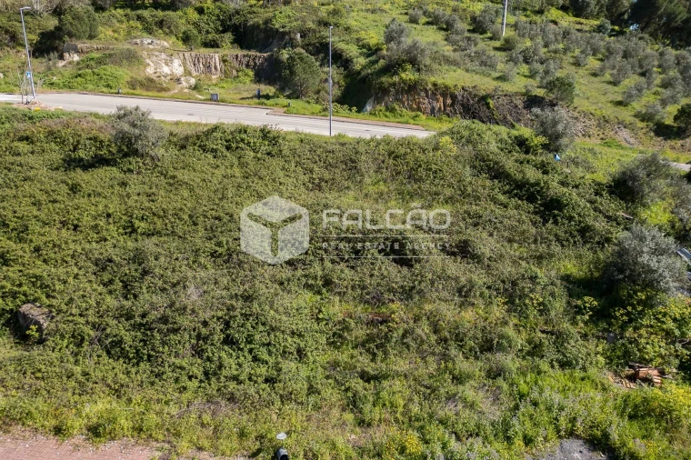 Terreno para Venda em Sé e São Lourenço Foto 32