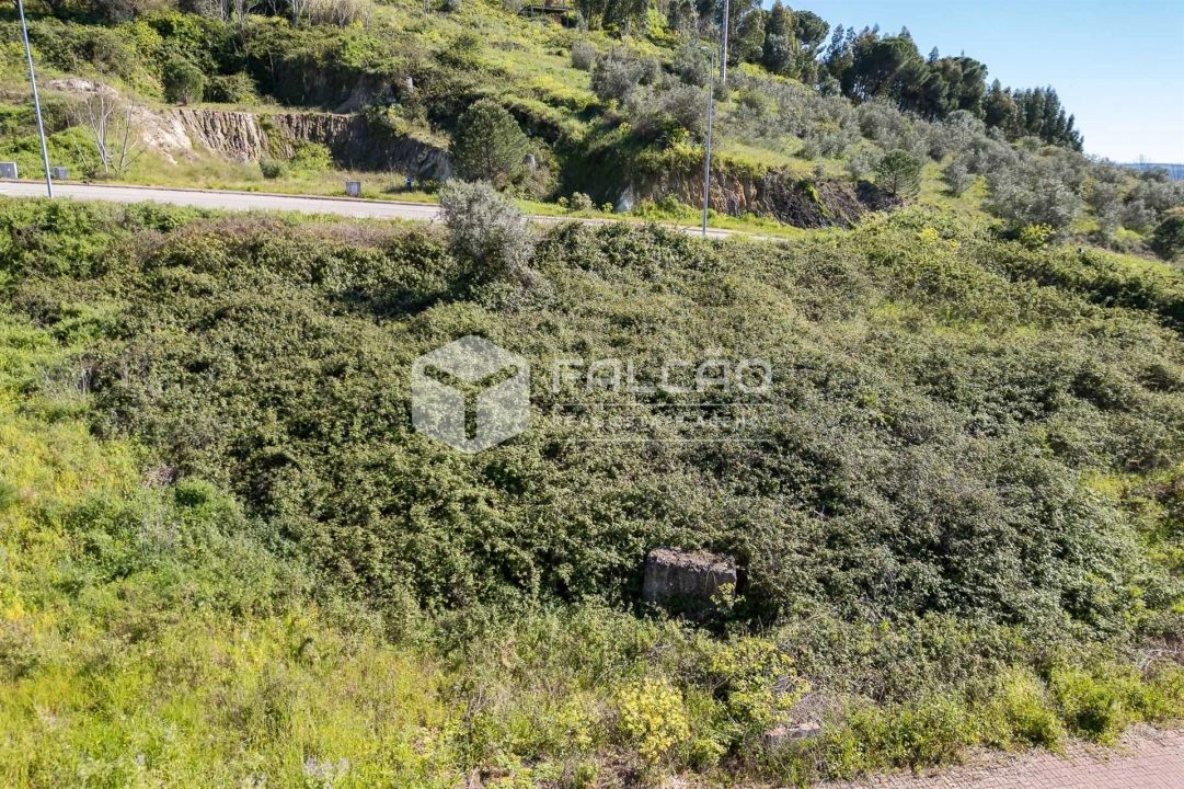 Terreno para Venda em Sé e São Lourenço Foto 31