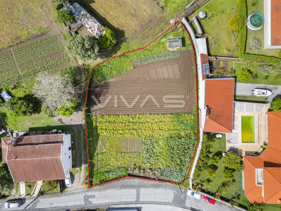 Terreno para Venda em Ferreiros, Prozelo e Besteiros Foto 13