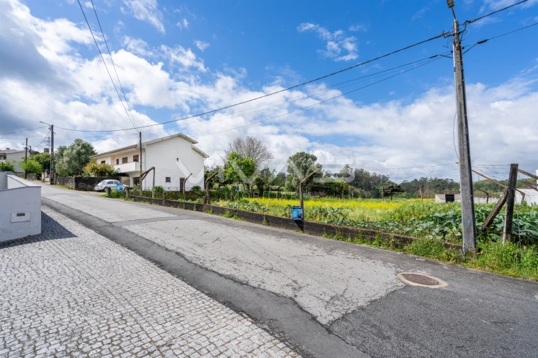 Terreno para Venda em Ferreiros, Prozelo e Besteiros Foto 10