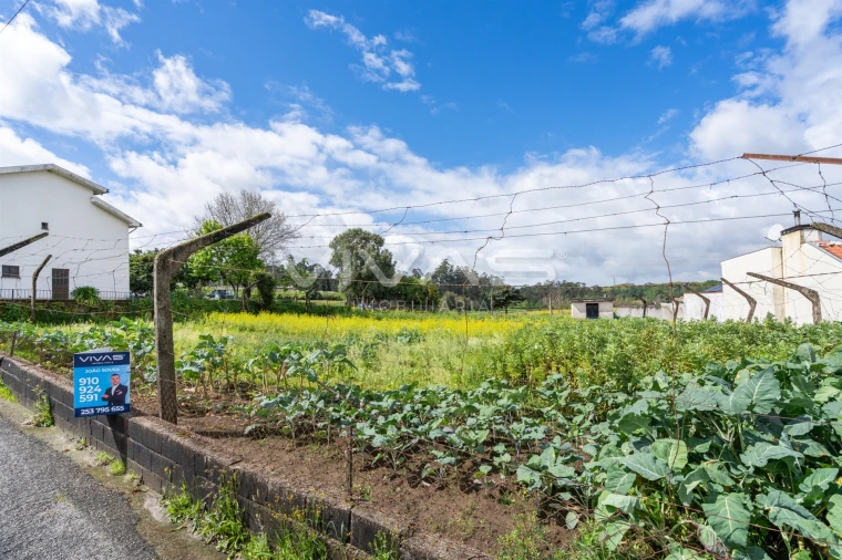 Terreno para Venda em Ferreiros, Prozelo e Besteiros Foto 11