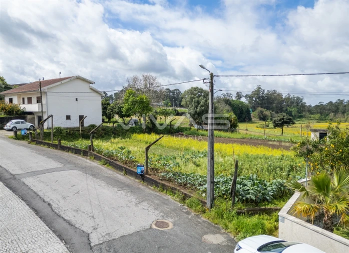 Terreno para Venda em Ferreiros, Prozelo e Besteiros Foto 1