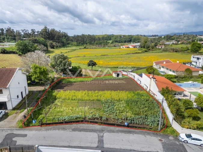 Terreno para Venda em Ferreiros, Prozelo e Besteiros Foto 14