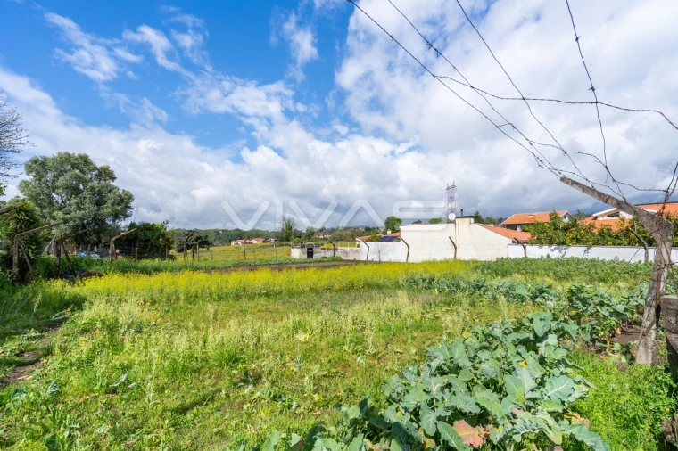 Terreno para Venda em Ferreiros, Prozelo e Besteiros Foto 9