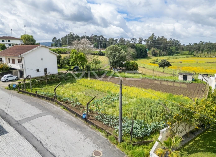 Terreno para Venda em Ferreiros, Prozelo e Besteiros Foto 3