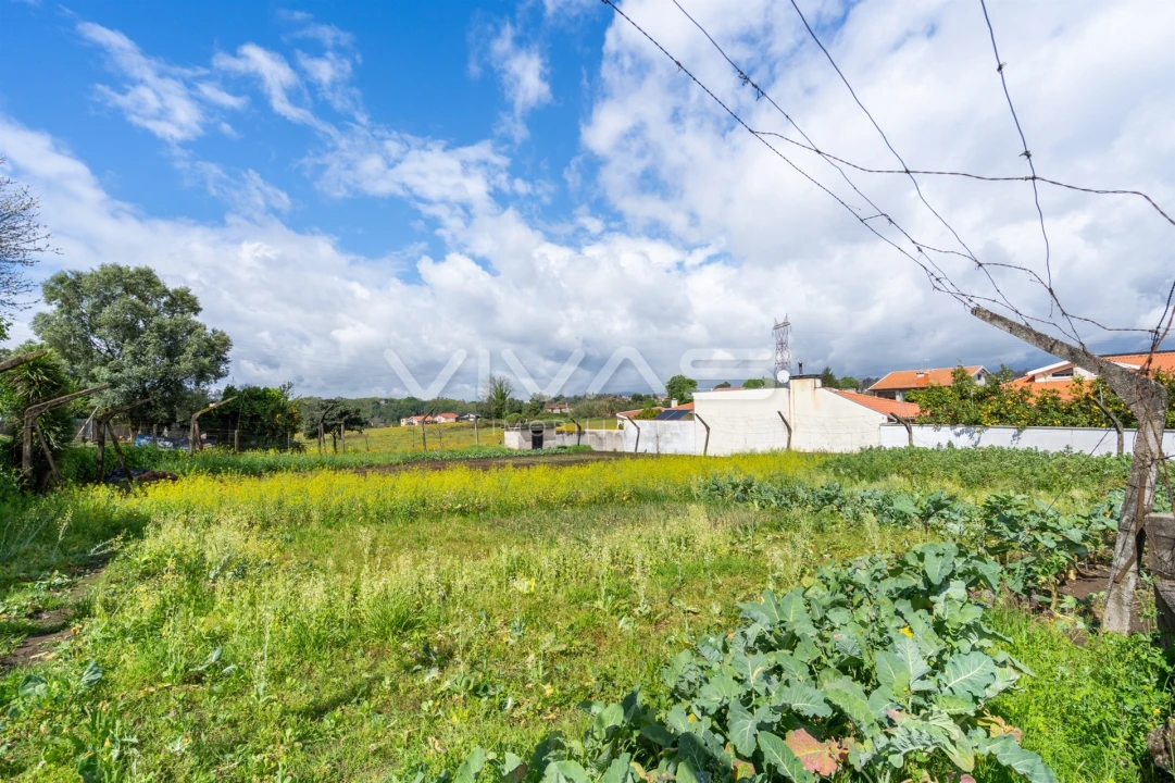 Terreno para Venda em Ferreiros, Prozelo e Besteiros Foto 9