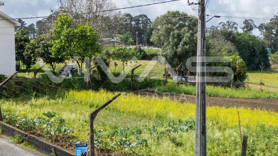Terreno para Venda em Ferreiros, Prozelo e Besteiros