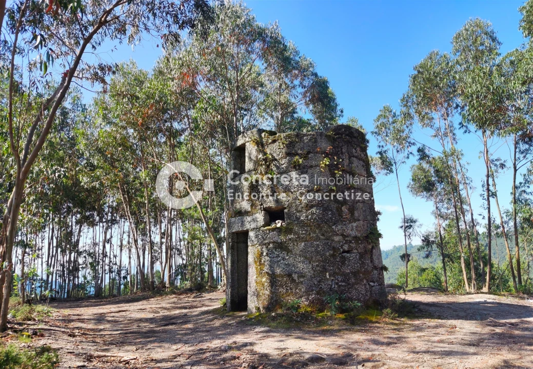 Moradia T0 para Venda em Leitões, Oleiros e Figueiredo Foto 1