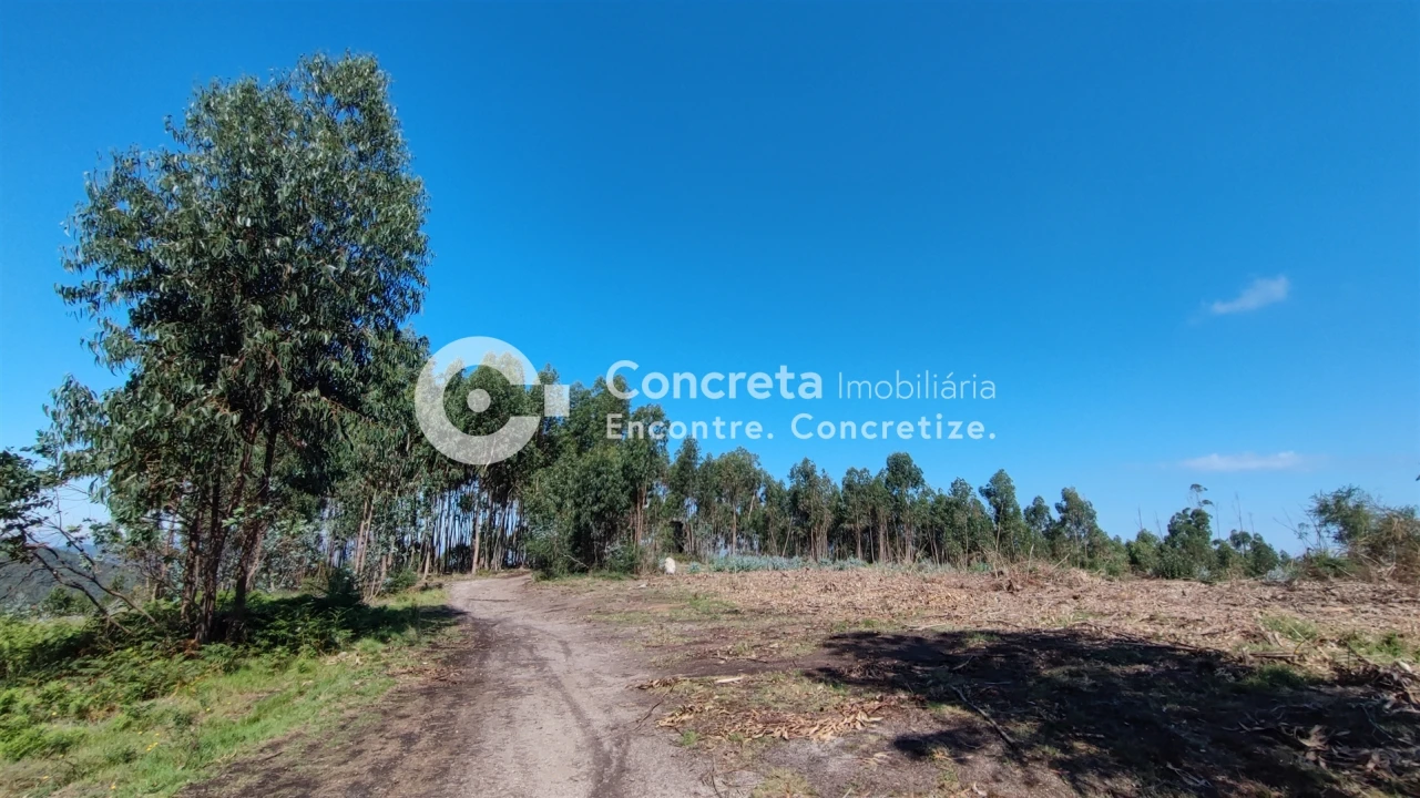 Moradia T0 para Venda em Leitões, Oleiros e Figueiredo Foto 9