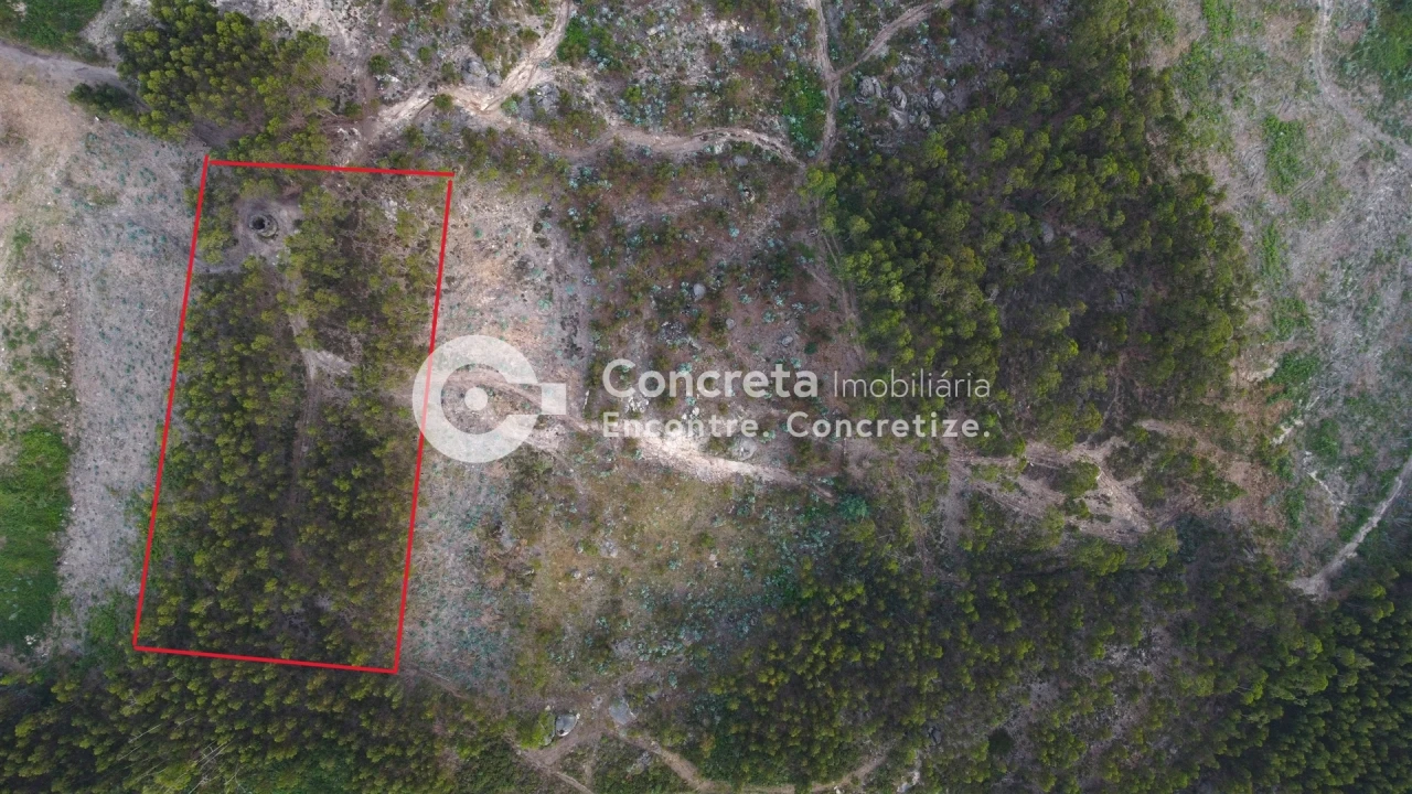 Moradia T0 para Venda em Leitões, Oleiros e Figueiredo Foto 5