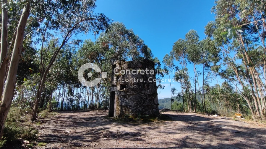 Moradia T0 para Venda em Leitões, Oleiros e Figueiredo Foto 2