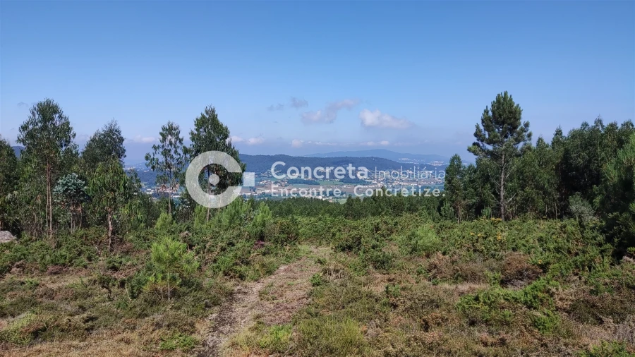 Moradia T0 para Venda em Leitões, Oleiros e Figueiredo Foto 8