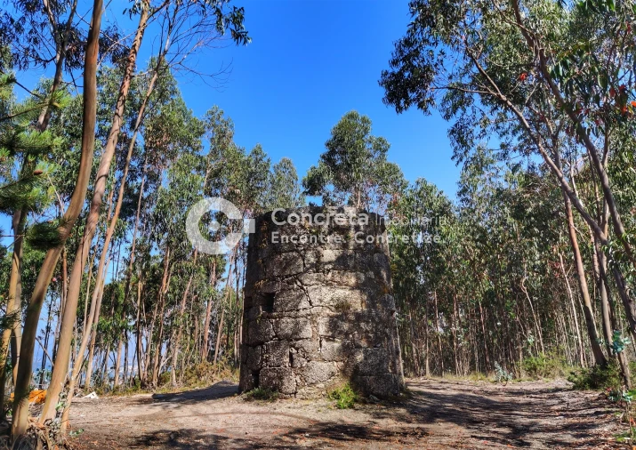 Moradia T0 para Venda em Leitões, Oleiros e Figueiredo Foto 3