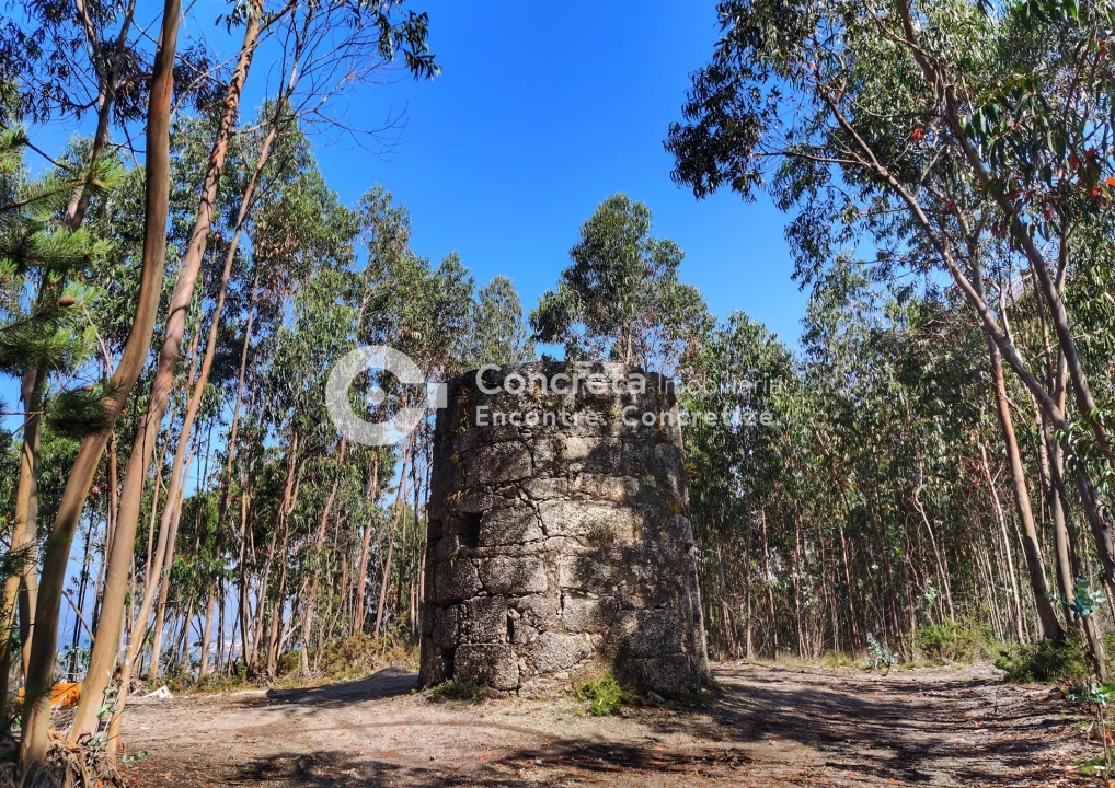 Moradia T0 para Venda em Leitões, Oleiros e Figueiredo Foto 3