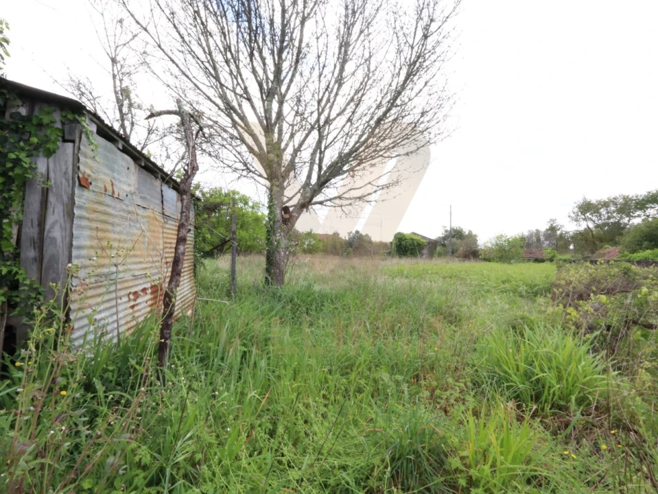 Terreno para Venda em Cabração e Moreira do Lima Foto 9