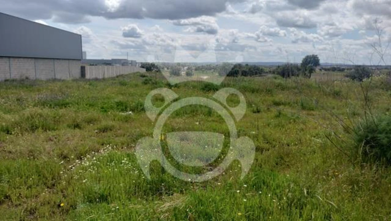 Terreno para Venda em Reguengos de Monsaraz Foto 11