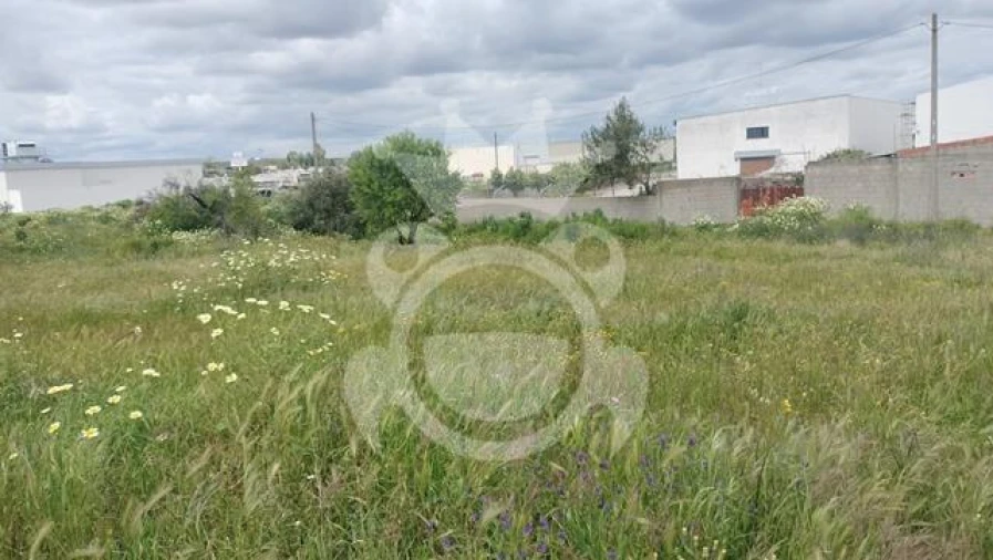 Terreno para Venda em Reguengos de Monsaraz Foto 6