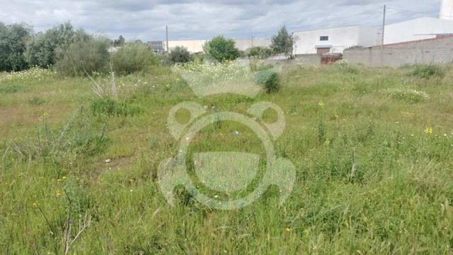 Terreno para Venda em Reguengos de Monsaraz Foto 10