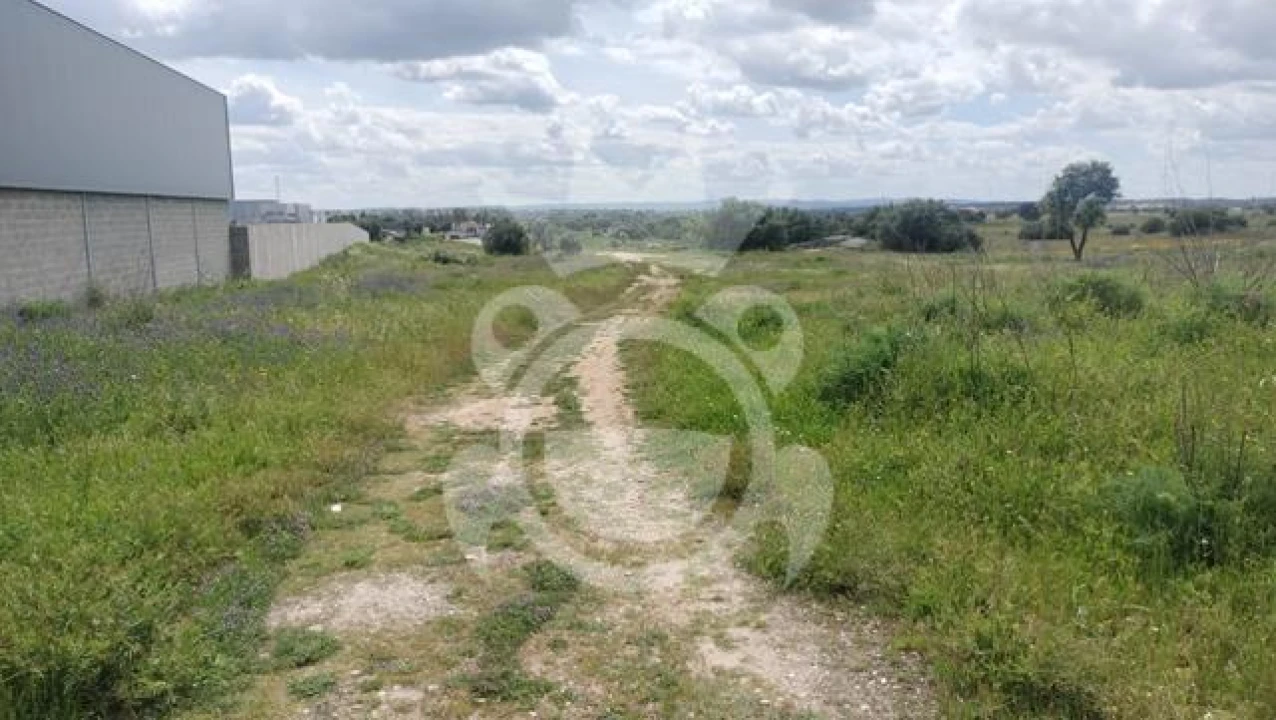 Terreno para Venda em Reguengos de Monsaraz Foto 1