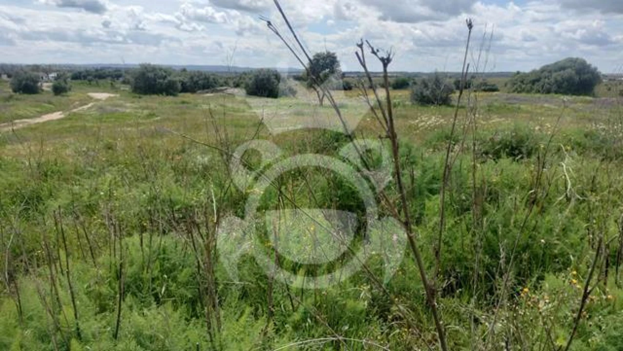 Terreno para Venda em Reguengos de Monsaraz Foto 3