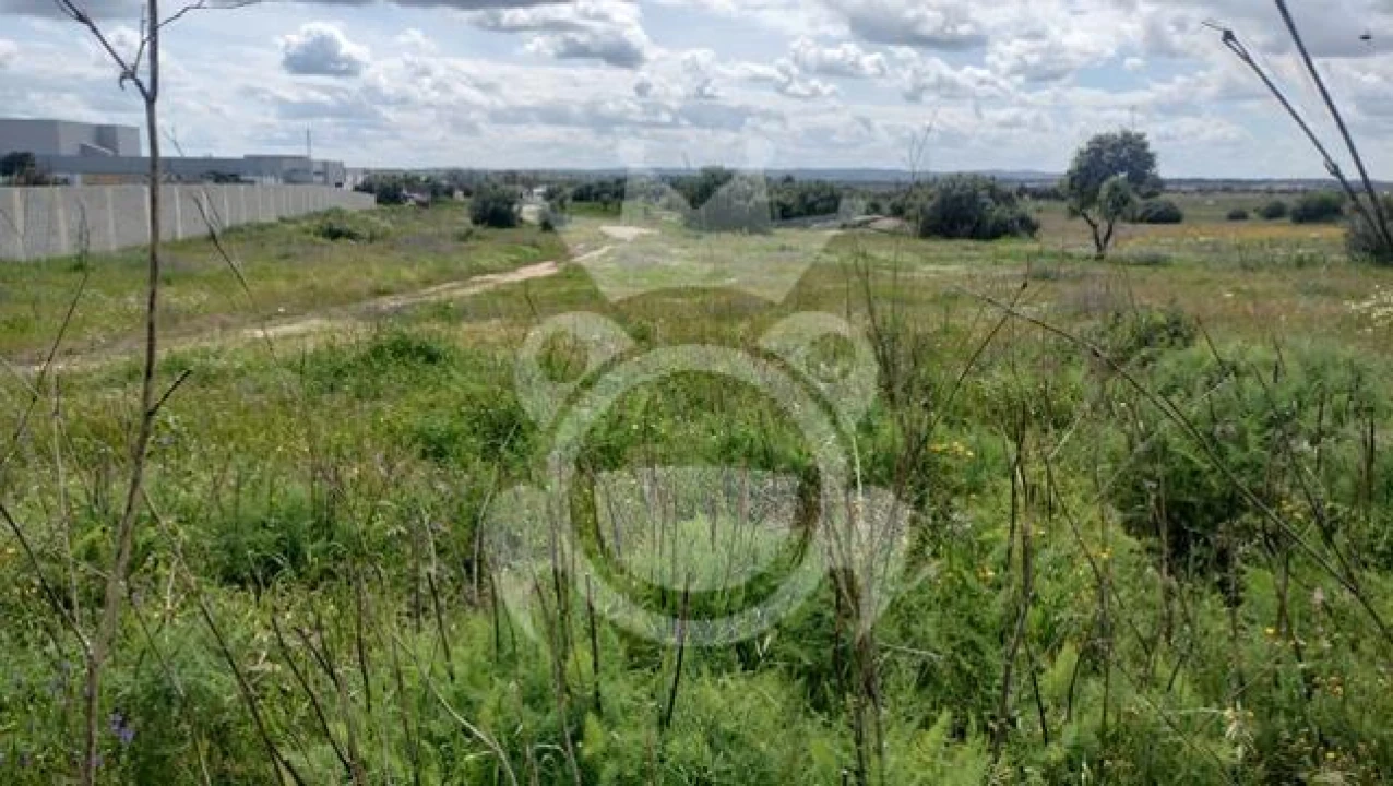 Terreno para Venda em Reguengos de Monsaraz Foto 7